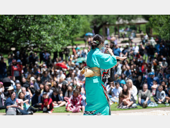 Japanese Spring Festival