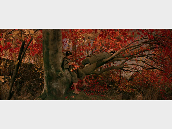 Facing Life, Meeting Death