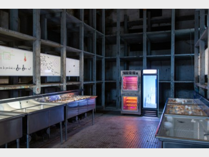 Aki Sasamoto: Point Reflection